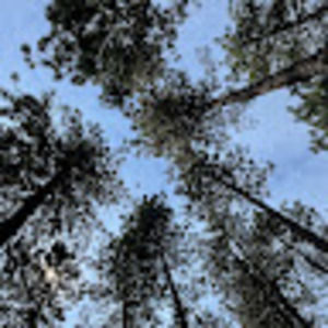 Meet your Posher, Brynne